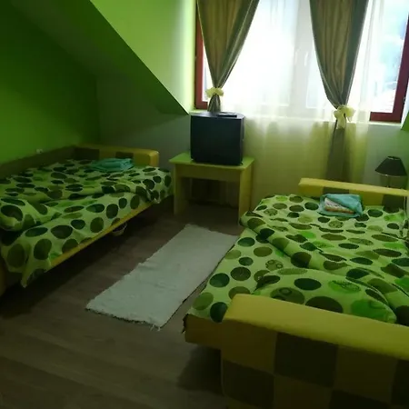 Apartment Ivana Ica Soko Banja
