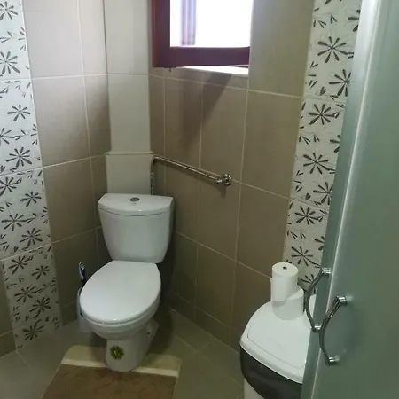 Ivana Ica Apartment Soko Banja