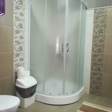 Apartment Ivana Ica *